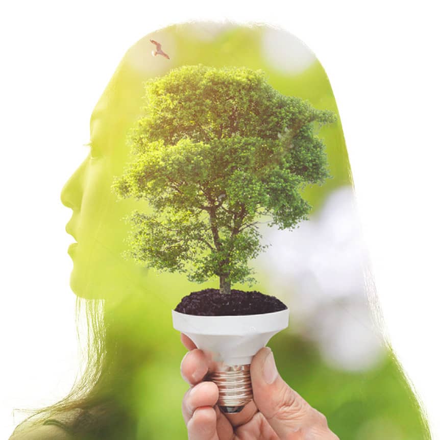 Woman Tree Lightbulb