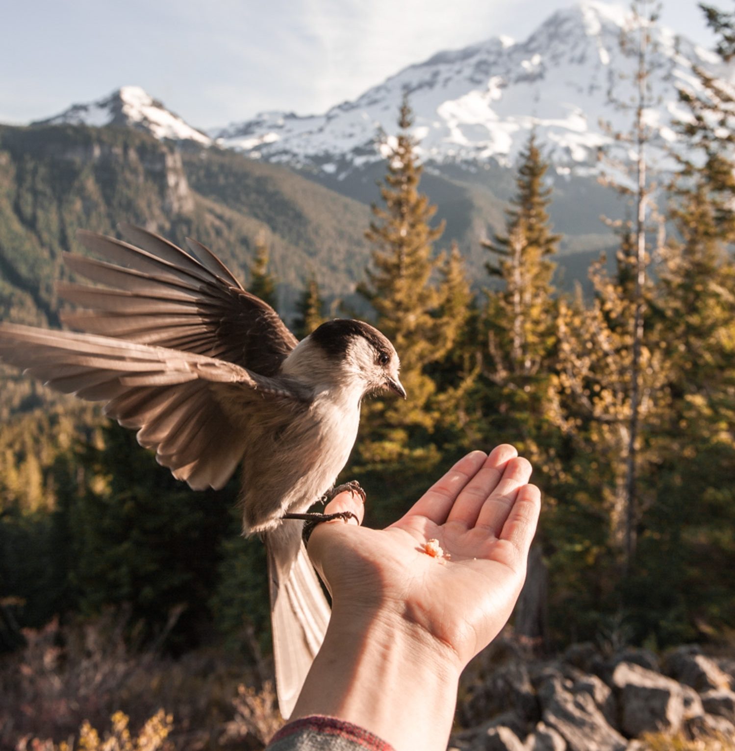 mindletics_daniel-mingook-kim-h7shkm9eilw-unsplash